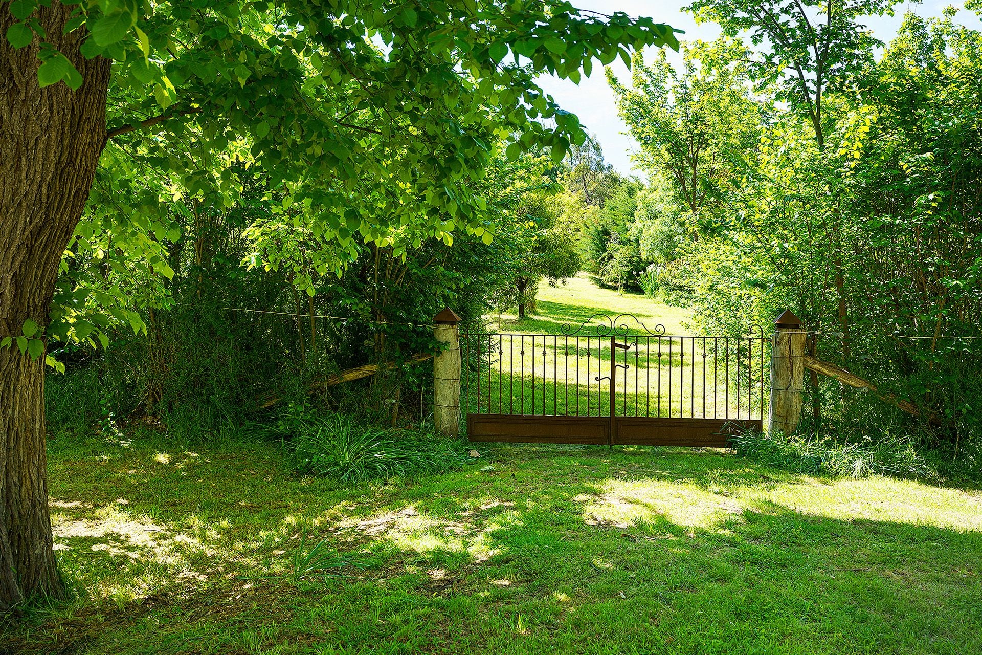10 Heron Street, Fryerstown - Thumbnail 4