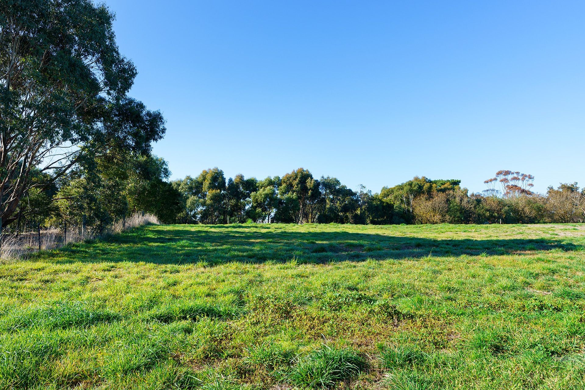 5 Adams Road, Harcourt - Thumbnail 6