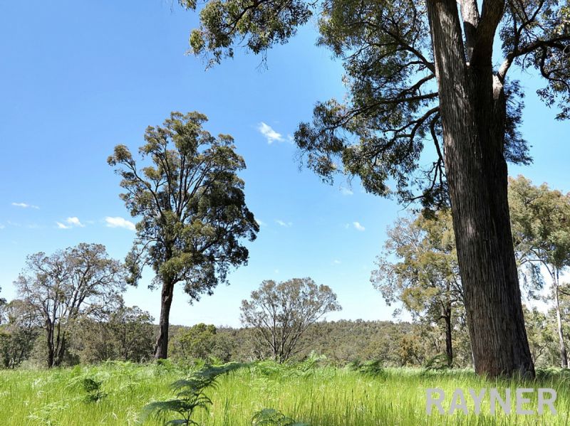 1 Oro Road Dwellingup WA, Dwellingup - Thumbnail 2