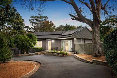 Frenchs Forest 514 Warringah Road