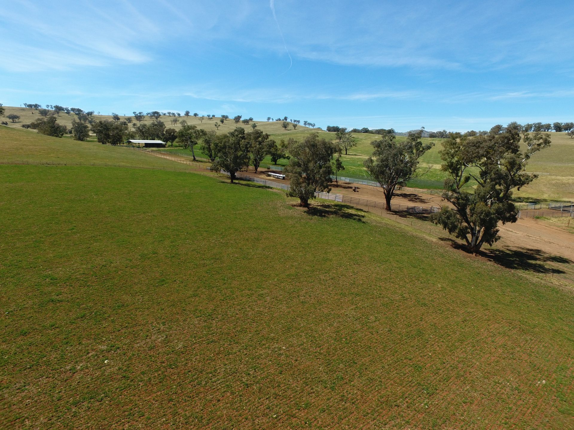 Cootamundra, Cootamundra - Thumbnail 5