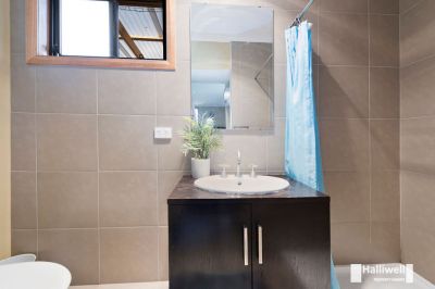 3
 
 
 
  
 
 
 2
 
 
 
 
 
 
 
 
 16 Springfield Court, Devonport TAS 7310, Devonport - Thumbnail 7
