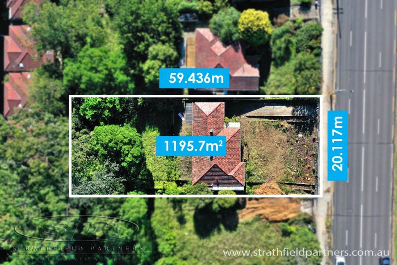 308 Blaxland Road, Ryde, Ryde - Thumbnail 3