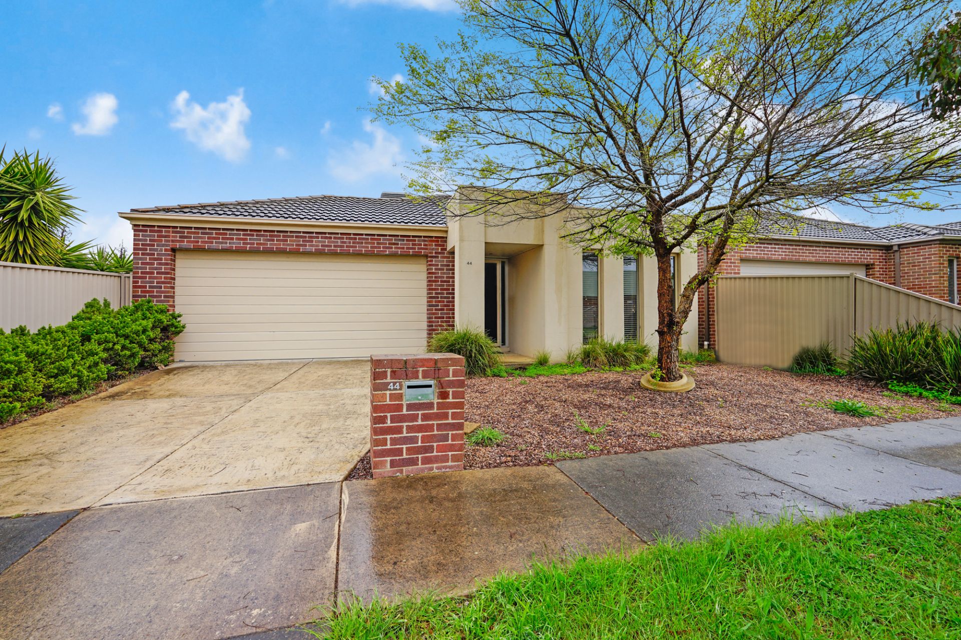 44 Clovedale Avenue, Alfredton, Alfredton - Thumbnail 5