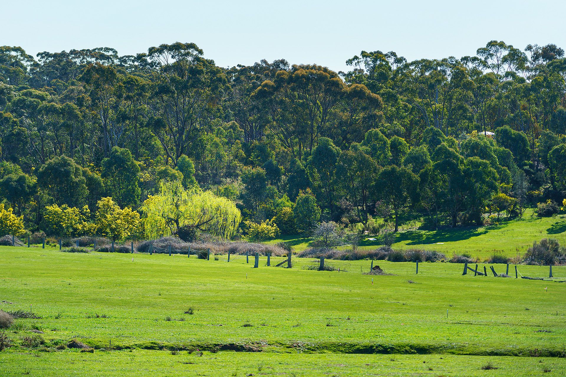 121/ Diamond Gully Road Muckleford, Road Muckleford - Thumbnail 7