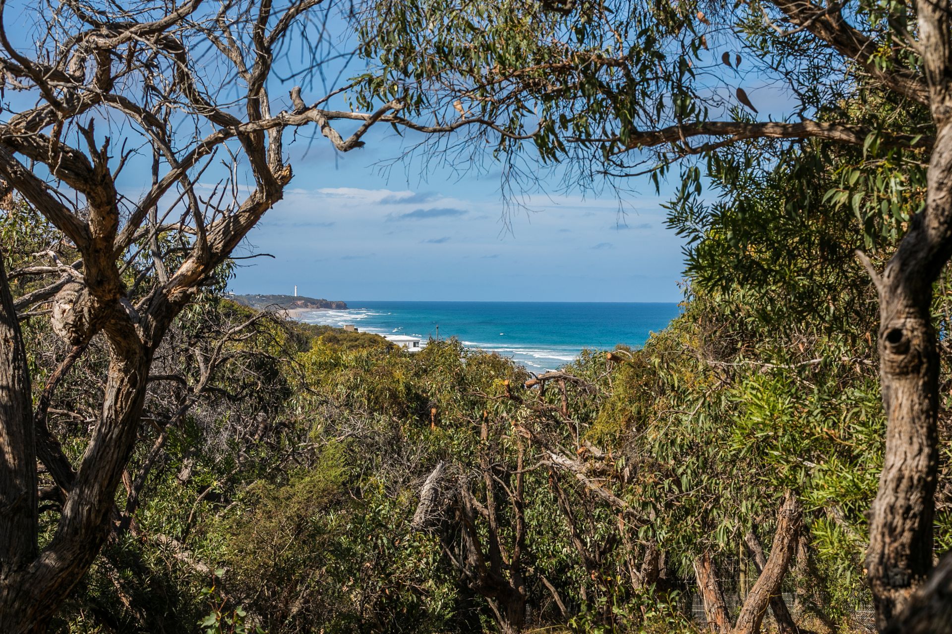 23 Golf Links Road, Eastern View - Thumbnail 3