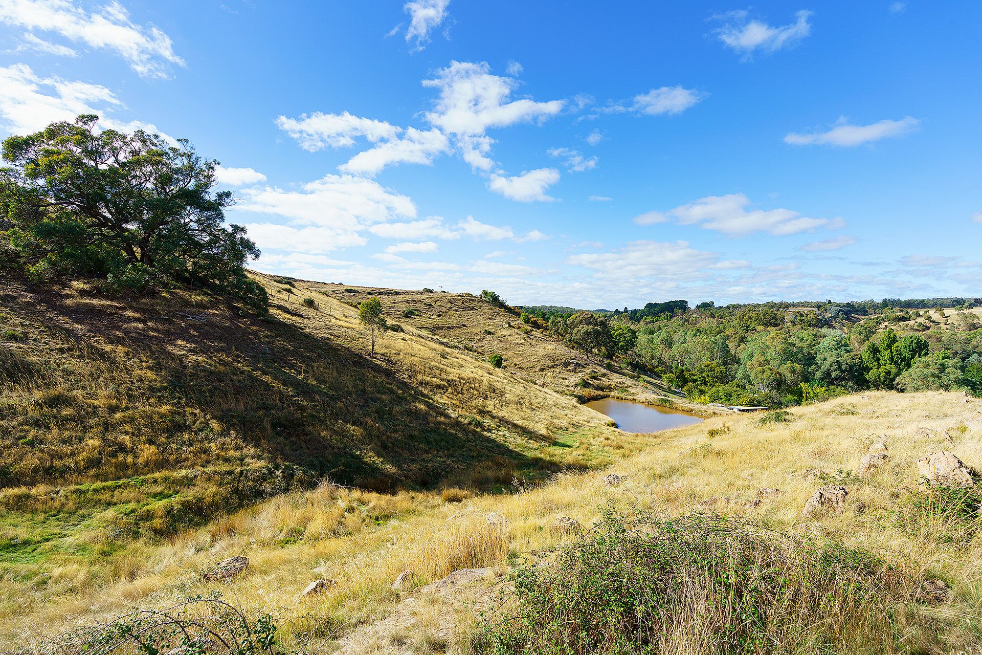 Lot 5, 58 Main Street Eldorado, Harcourt - Thumbnail 6