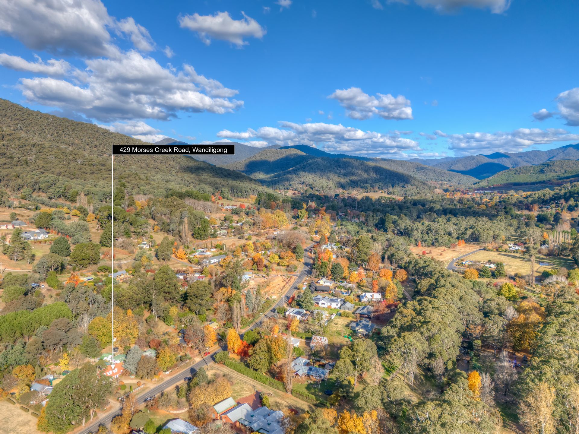 429 Morses Creek Road, Wandiligong Dickens Real Estate