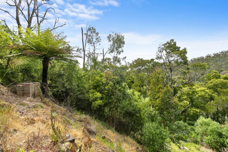 31 Riverside Drive, Wye River, VIC, Wye River - Thumbnail 3