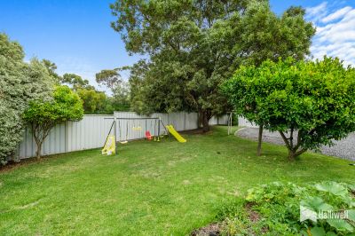 3
 
 
 
  
 
 
 1
 
 
 
  
 
 
 4
 
 
 
 
 
 
 
 14 Alexander Street, Shearwater TAS 7307, Shearwater - Thumbnail 6