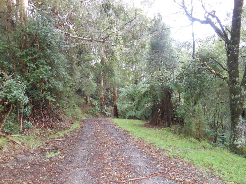 870 Forrest Apollo Bay Road, Barramunga, VIC, Barramunga - Thumbnail 5