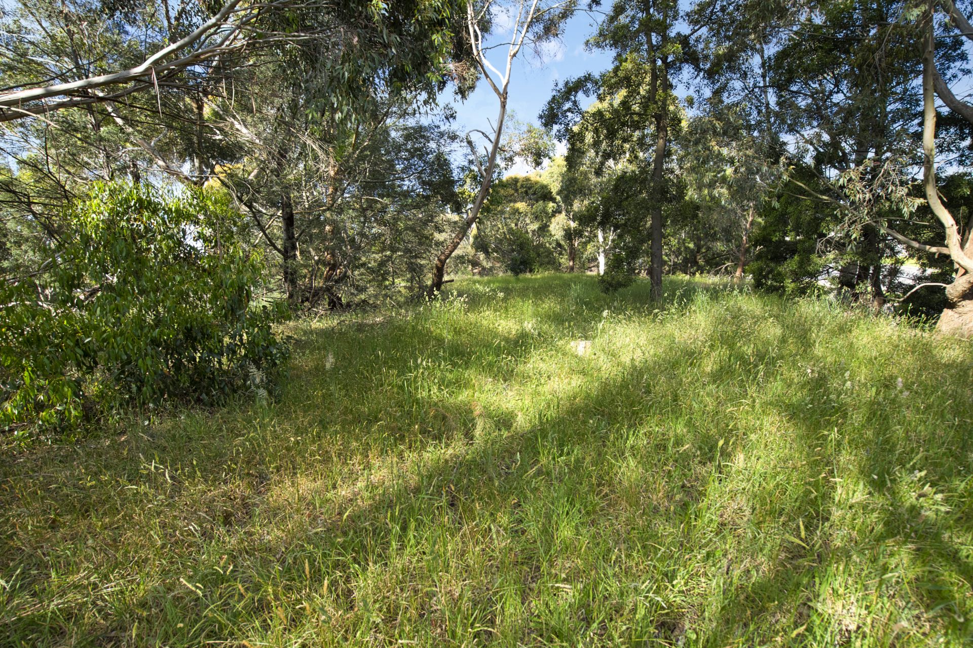 3 Daylesford Road Brown Hill VIC, Brown Hill - Thumbnail 3