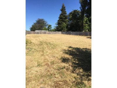 163 Sheffield Road, SPREYTON, Spreyton - Thumbnail 3