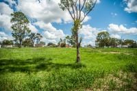 Land For Sale Lot 3 Armitage Drive Glendenning this property has sold