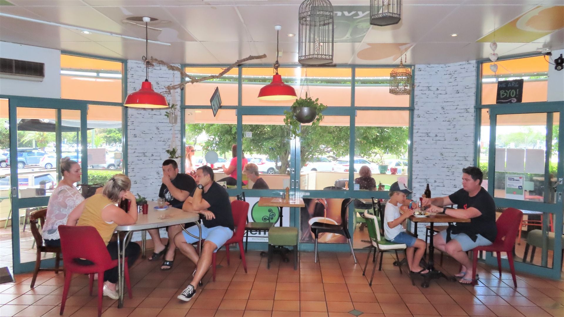 Cotton Tree, Cotton Tree - Thumbnail 4