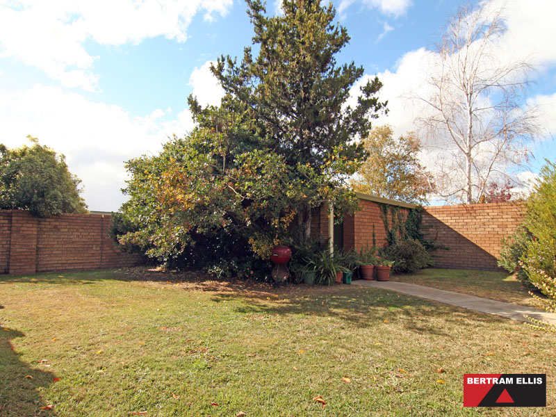 8 Gavin Place, Chapman - Thumbnail 4