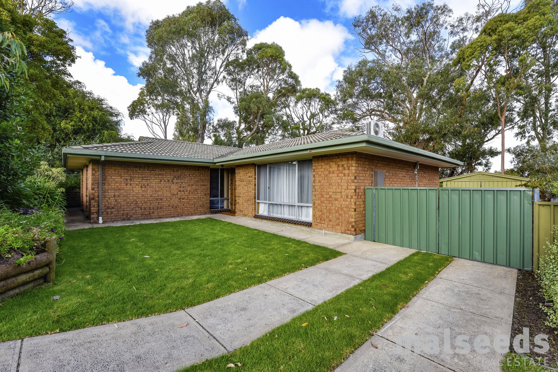 10 Ireland Street, Millicent Malseeds Real Estate