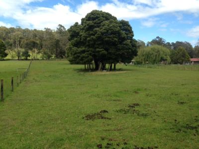 59 Kimberley Road, Railton, Railton - Thumbnail 3