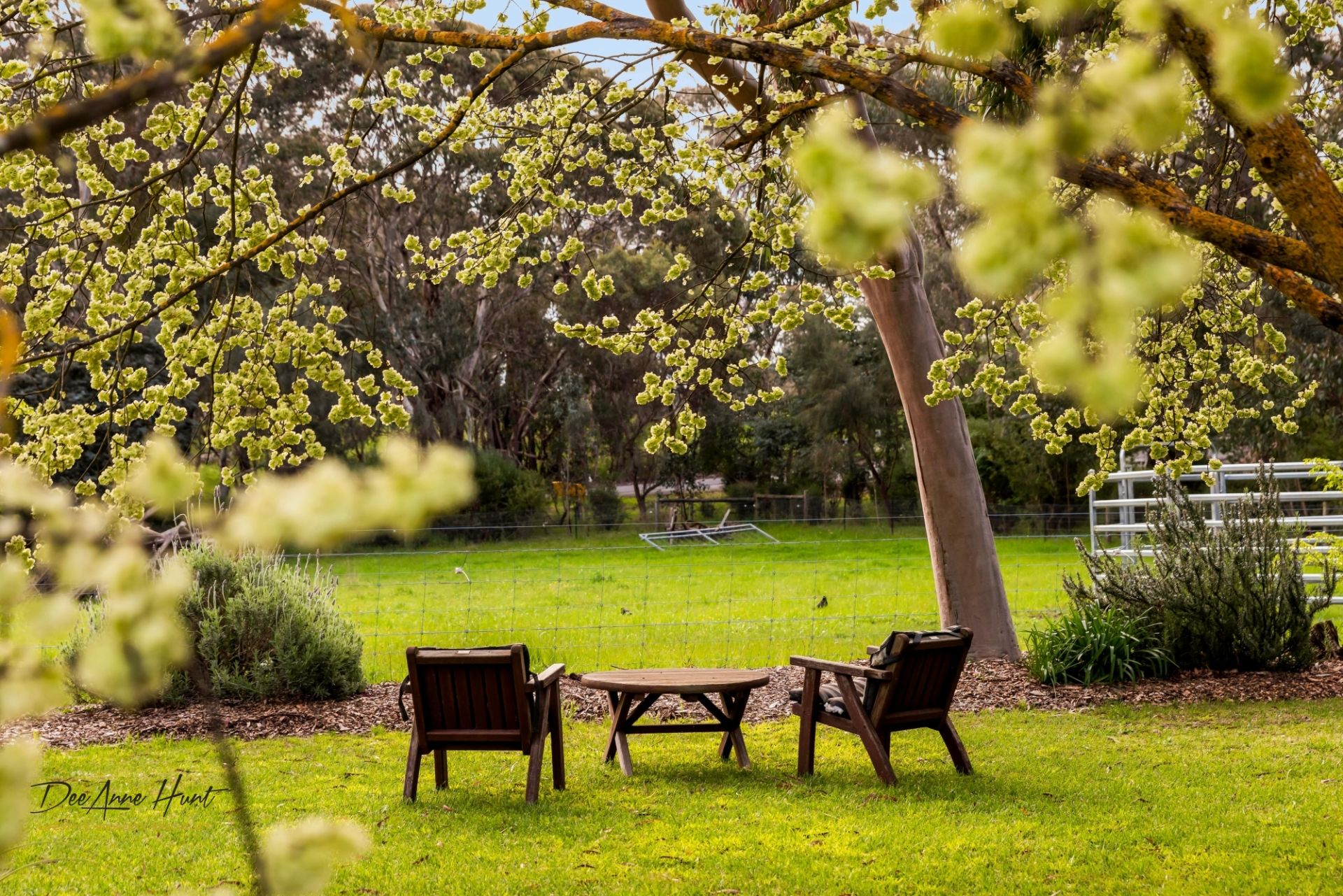 8 Oinns Road, Echunga Williams Real Estate