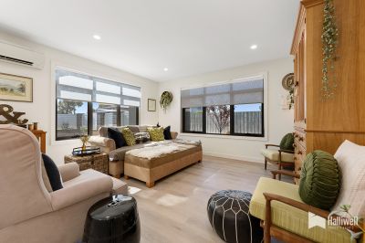 1/1 Sunrise Court, Shearwater, Shearwater - Thumbnail 6