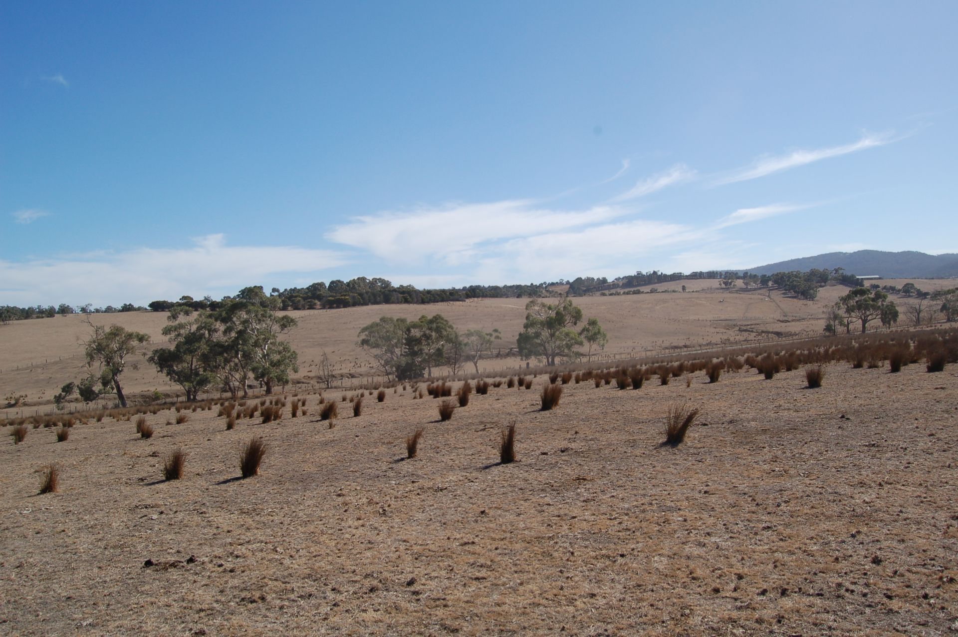 Real Estate For Sale 60 Running Creek Road Arthurs Creek , VIC