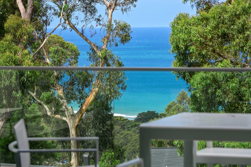 24B Toorak Terrace, Lorne, VIC, Lorne - Thumbnail 6