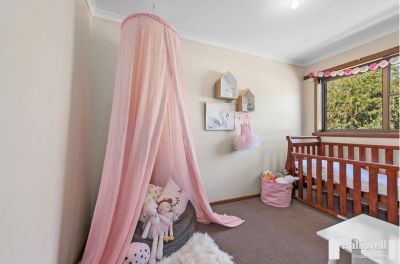 4
 
 
 
  
 
 
 2
 
 
 
  
 
 
 2
 
 
 
 
 
 
 
 25 Coomera Crescent, Miandetta TAS 7310, Miandetta - Thumbnail 7