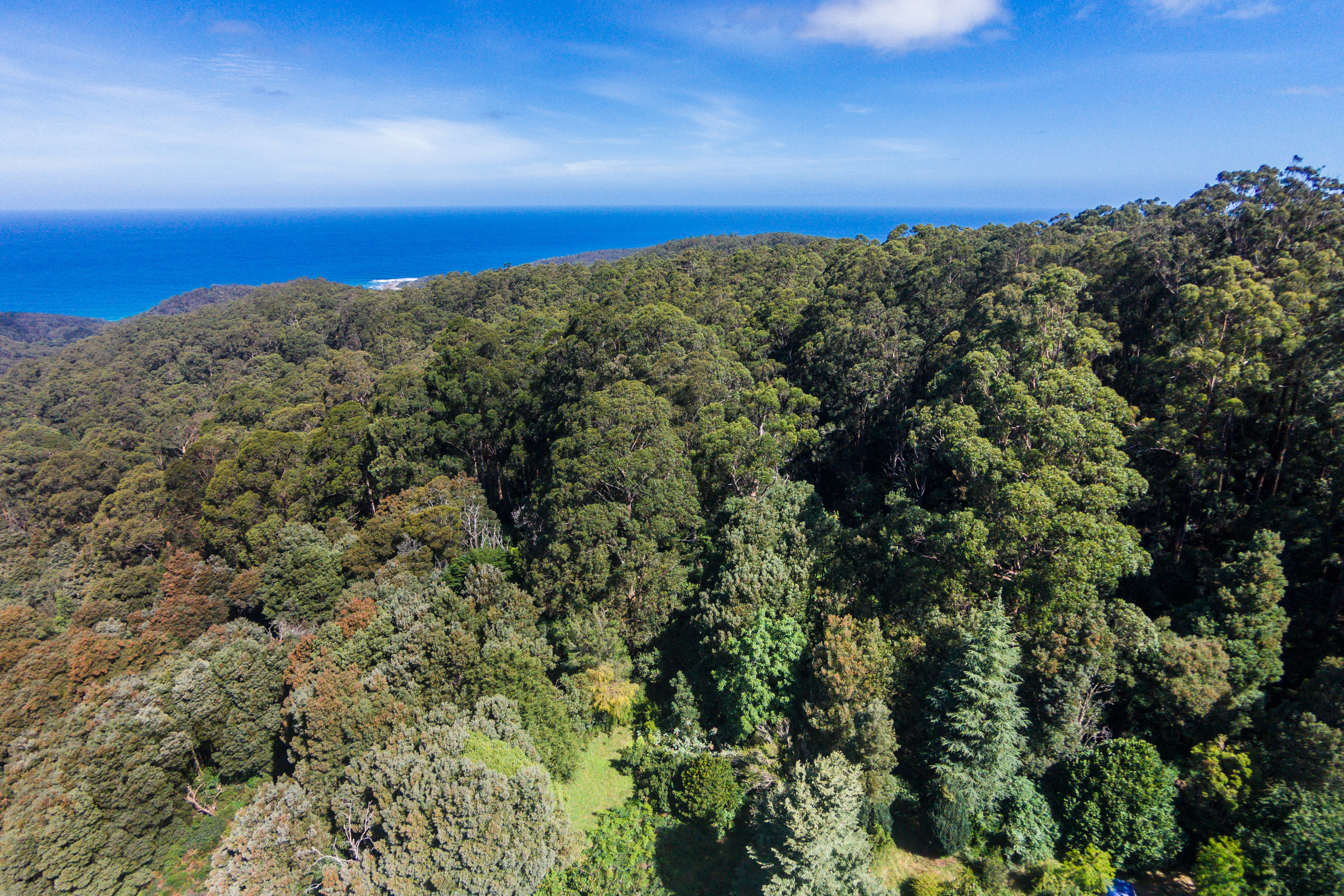 290 Kennett Road, Kennett River, VIC, Kennett River - Thumbnail 6