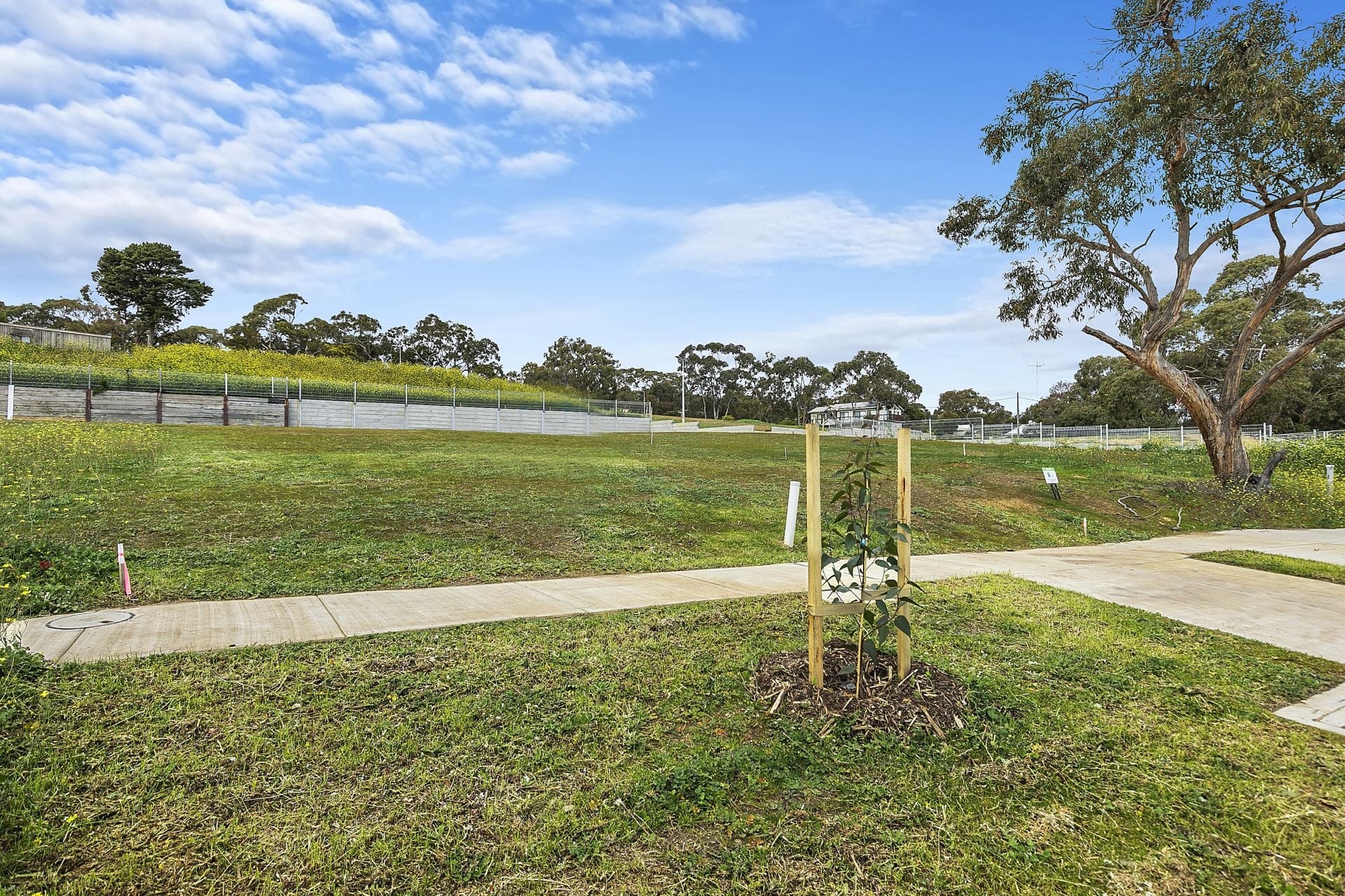 26A Camp Road, Anglesea - Thumbnail 4