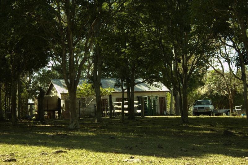 181 Willetts Road, BAUPLE, QLD, 4650 Rural buyMyplace