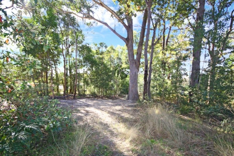 347 Lieutenant Bowen Drive, BOWEN MOUNTAIN, Bowen Mountain - Thumbnail 2