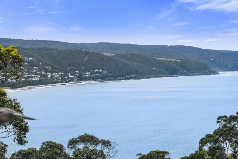 12A Francis Street, Lorne, VIC, Lorne - Thumbnail 3