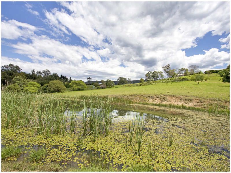 Baileys Lane, Kurrajong Hills - Thumbnail 4