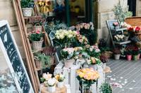 Florist Business  in Sydney City limits.