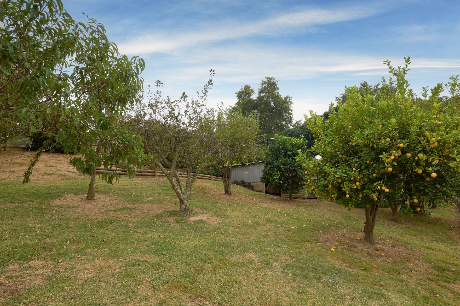 12 Lillico Road, Warragul OBrien Real Estate