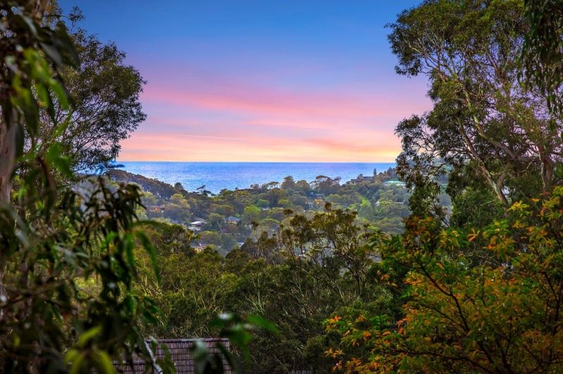 13 Wandearah Avenue Avalon Beach NSW, Avalon Beach - Thumbnail 6