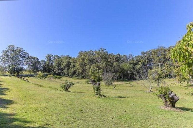35 Clarkes Road Diddillibah QLD, Diddillibah - Thumbnail 3
