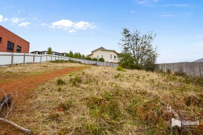 37 McCall Terrace, Stony Rise, Stony Rise - Thumbnail 6