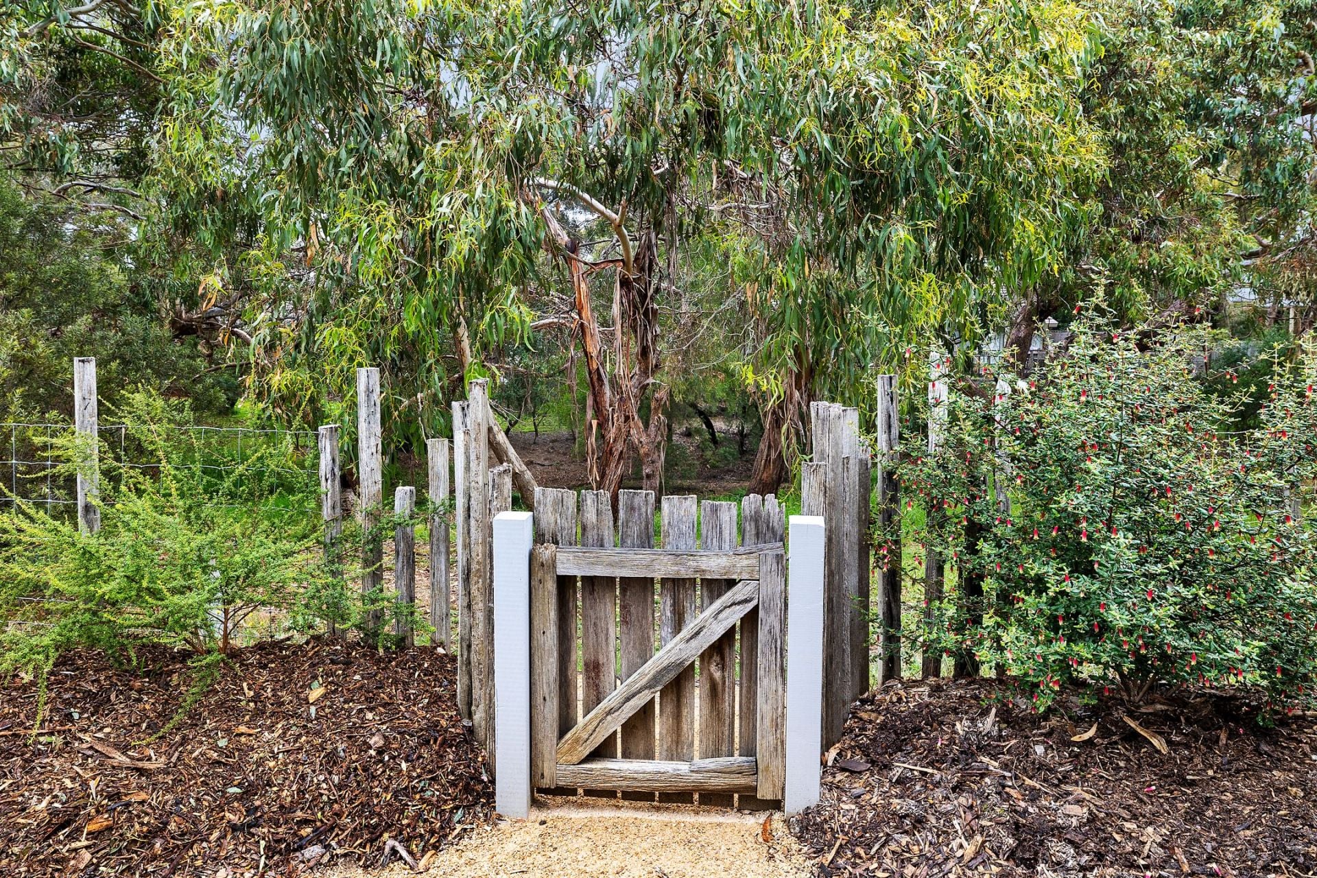 59 Domain Road Jan Juc VIC, Jan Juc - Thumbnail 2