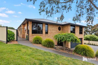 13 Winspears Road, East Devonport, East Devonport - Thumbnail 3