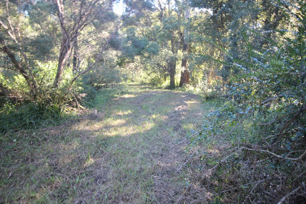 444 Upper Rollands Plains Road, UPPER ROLLANDS PLAINS NSW 2441