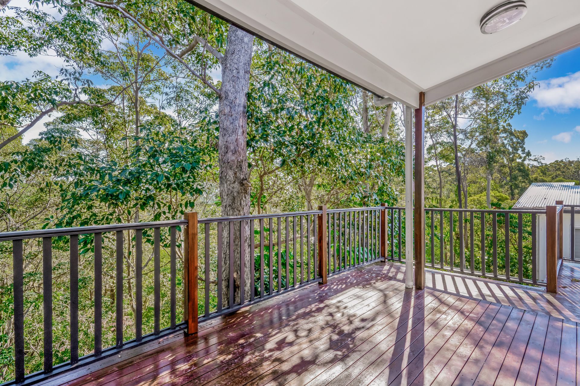 26 Donna Place Buderim QLD, Buderim - Thumbnail 4