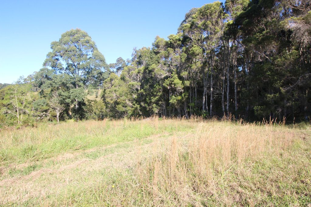 444 Upper Rollands Plains Road, UPPER ROLLANDS PLAINS NSW 2441