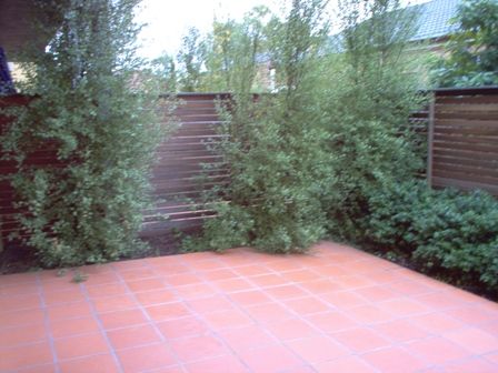 Spacious Courtyard for the Entertainer!