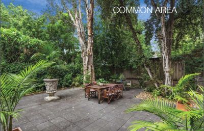 20/95 Annandale Street, Annandale