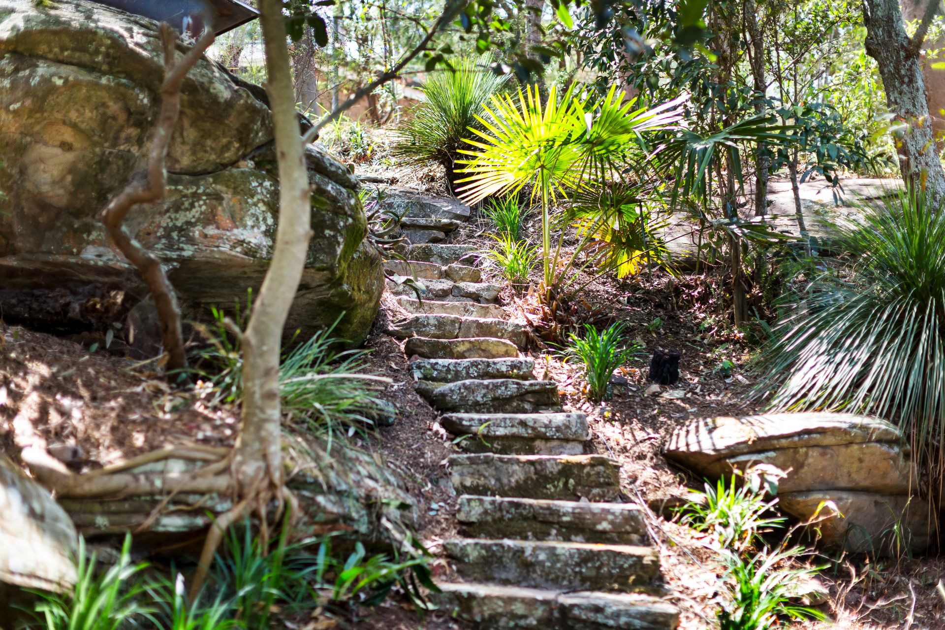 23 Mirrabooka Street Bilgola Plateau NSW 2107, Bilgola Plateau - Thumbnail 2