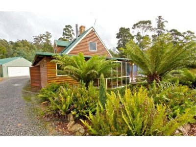 62 Brookland Avenue, ACACIA HILLS, Acacia Hills - Thumbnail 3