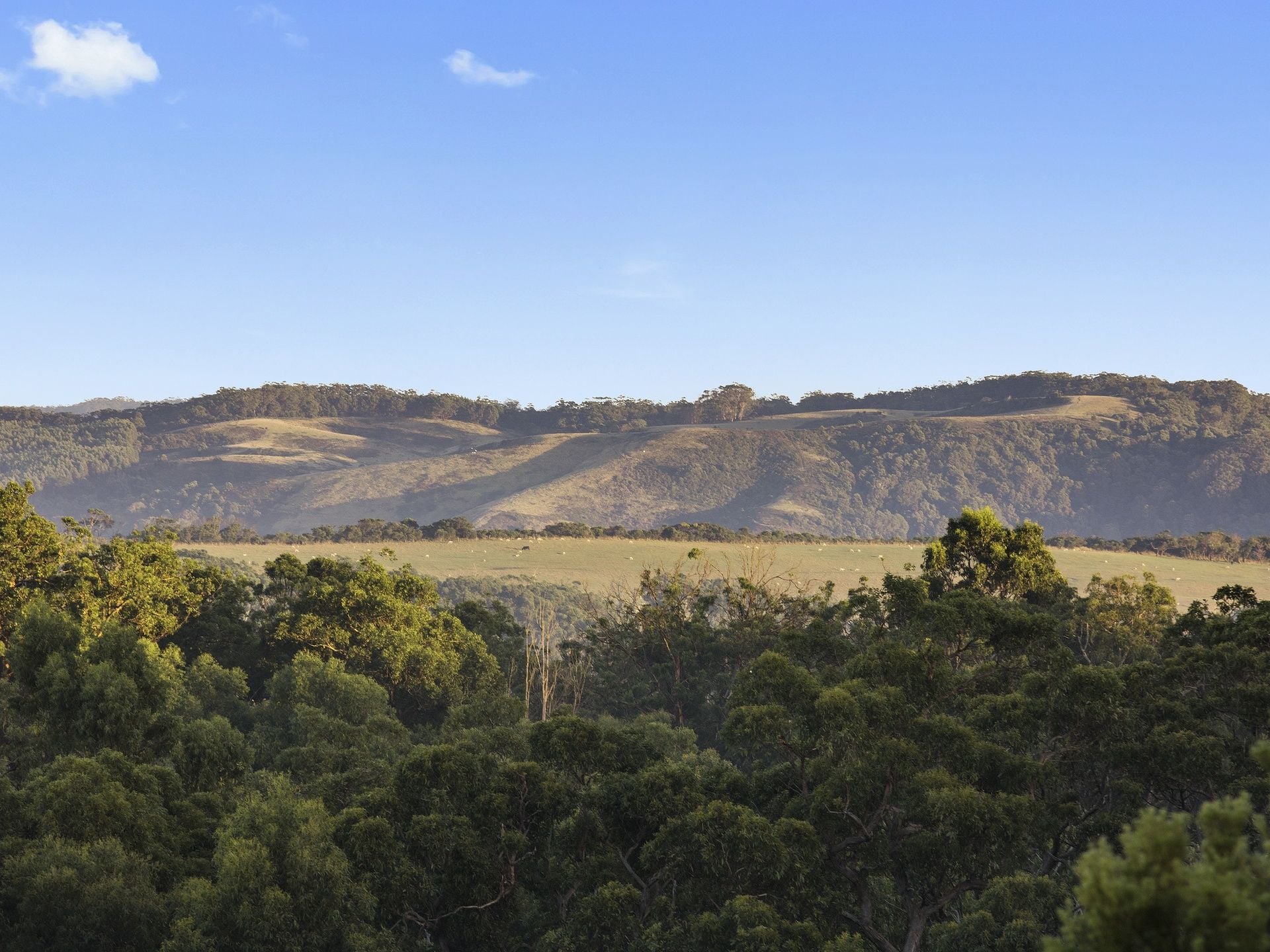 8/615 Hordern Vale Road, Hordern Vale - Thumbnail 5