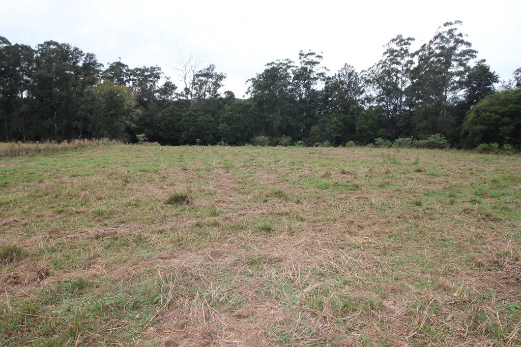 1176 Bellangry Rd, BELLANGRY NSW 2446