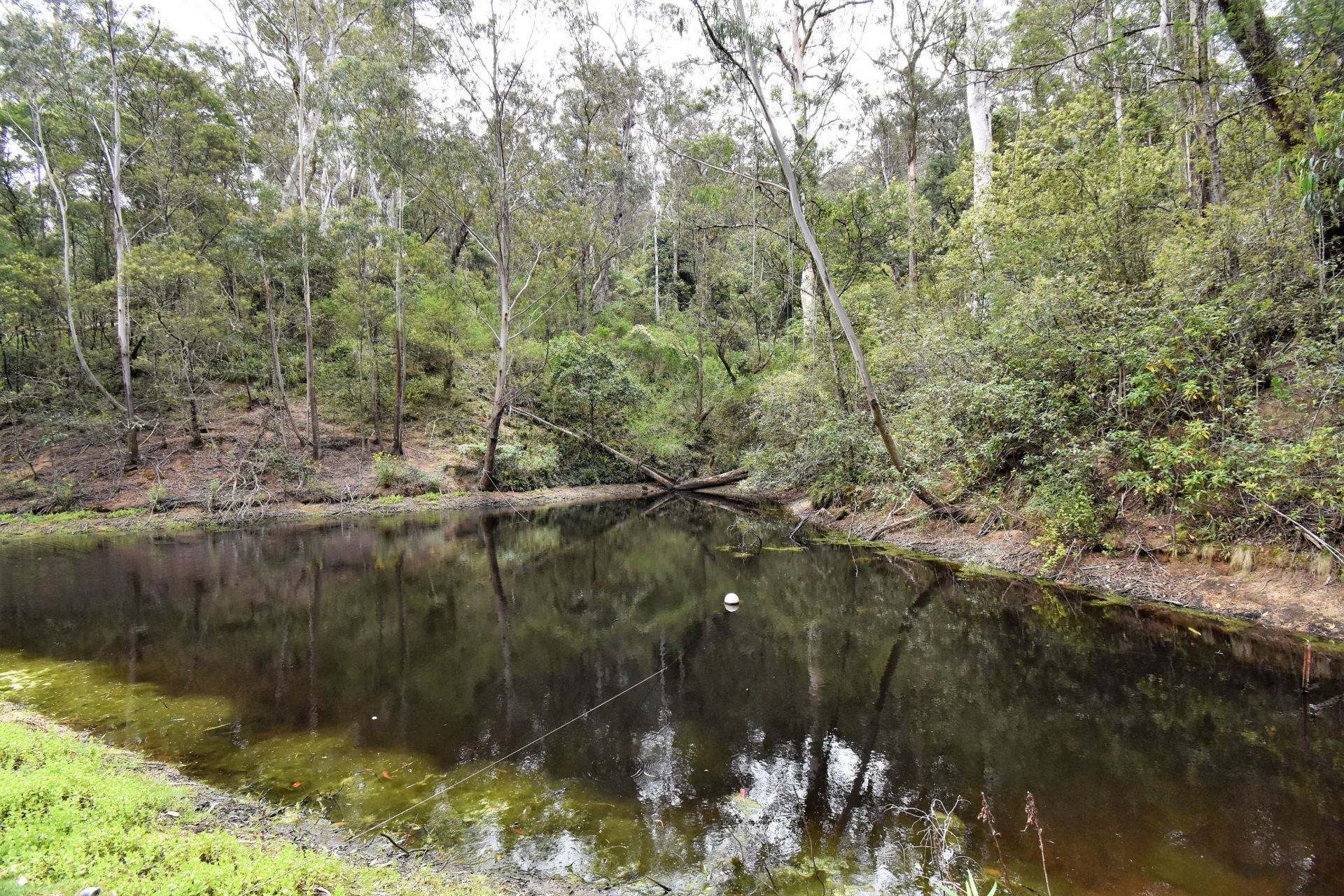 213 Murrabrine Forest Road Yowrie NSW